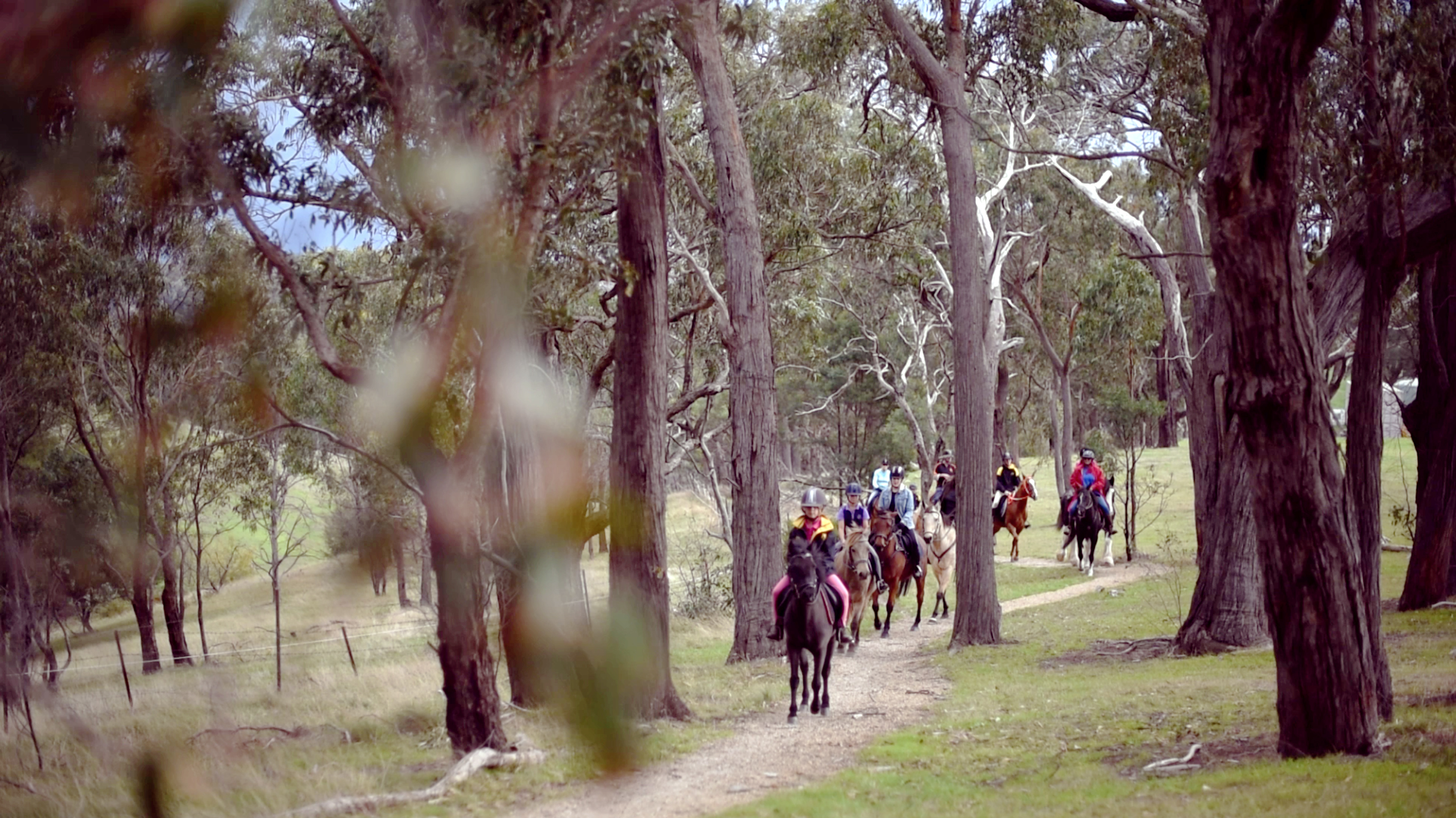 Riders on a bush trail in Nillumbik